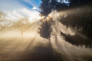 ほうれい線に効果的な美顔器のランキングは？