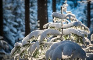 ほうれい線対策におすすめの美顔器ランキングは？