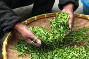 レチノールを使った乾燥対策で小じわを改善する方法は？