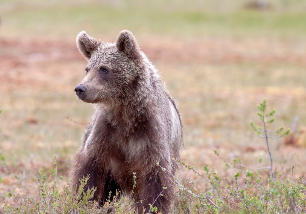 目元のクマを改善するための効果的な方法は？